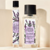Koncentrovaný parfum - Calme Absolu Koncentrovaný parfum - Calme Absolu