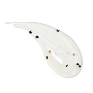 Gélový telový peeling Malina & mäta