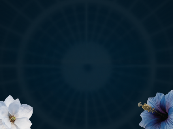 Pozor, upozornenie na spoiler!